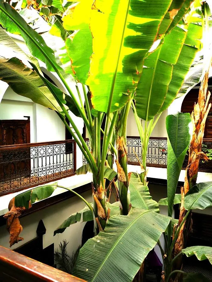 Riad Mehdia Marrakesh Morocco