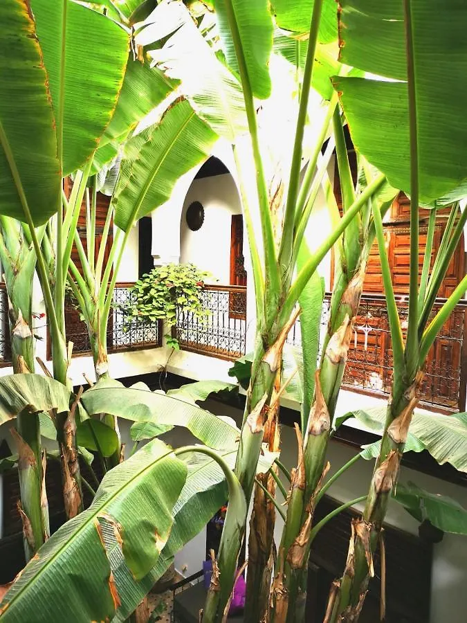 Riad Mehdia Marrakesh 3*,  Morocco
