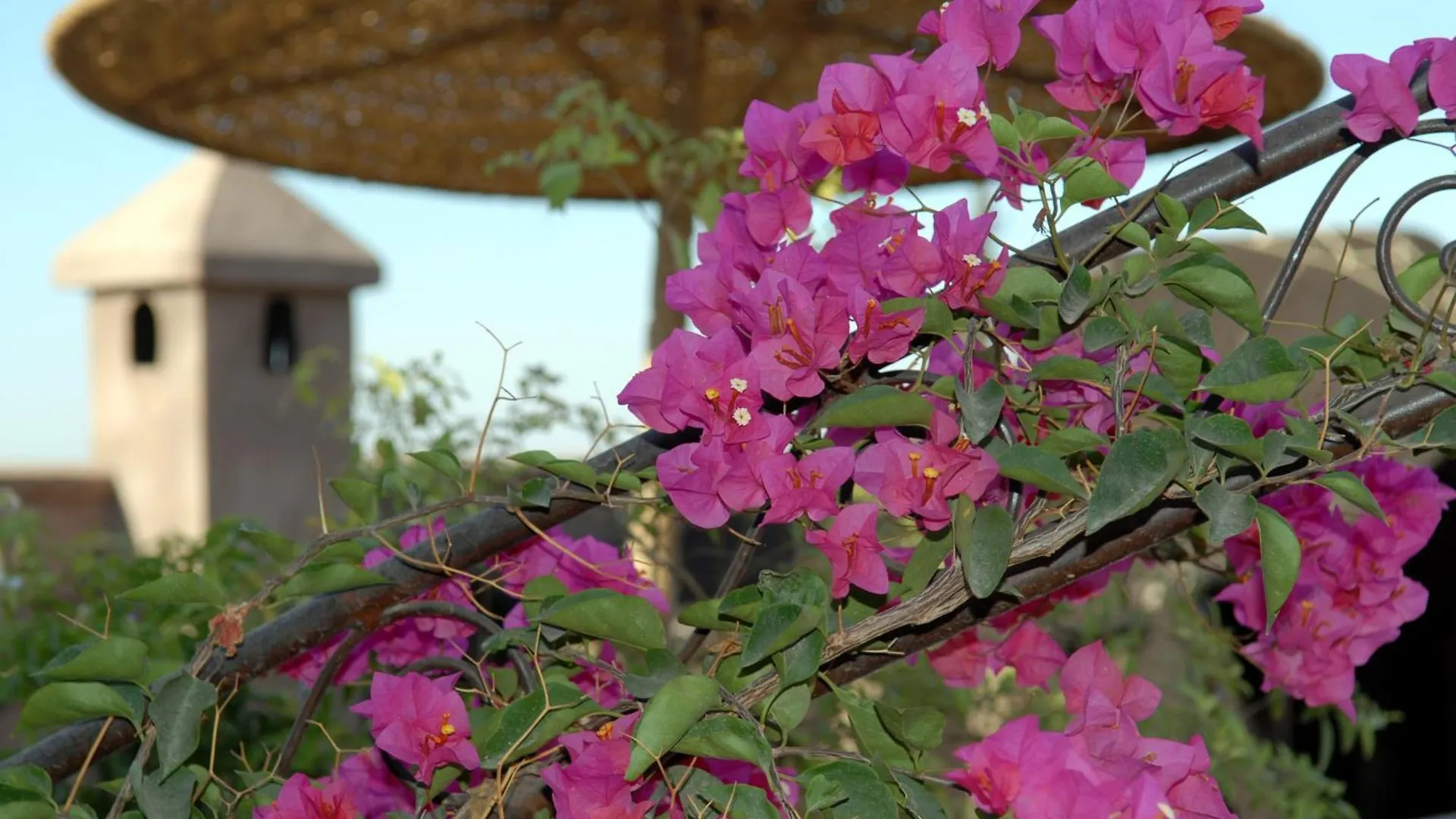 Riad Mehdia Marrakesh Morocco