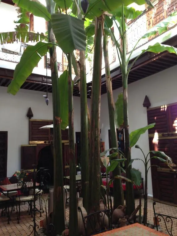 ***  Riad Mehdia Marrakesh Morocco