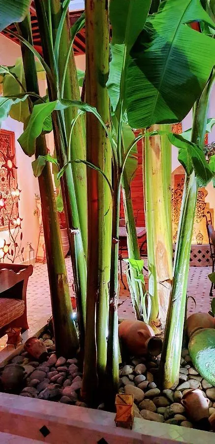 Riad Mehdia Marrakesh
