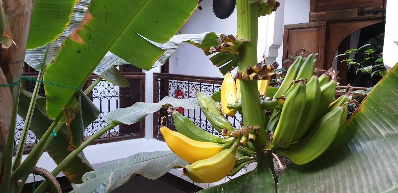 Riad Mehdia Marrakesh